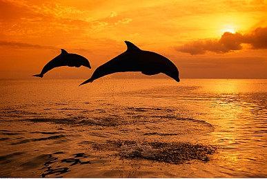 《奇奇怪界 黑斗篷之谜》发布最新角色预告和截图